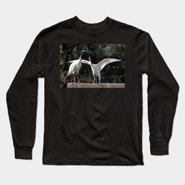 Juvenile Australian White Ibis Begging Long Sleeve T-Shirt by Carole-Anne